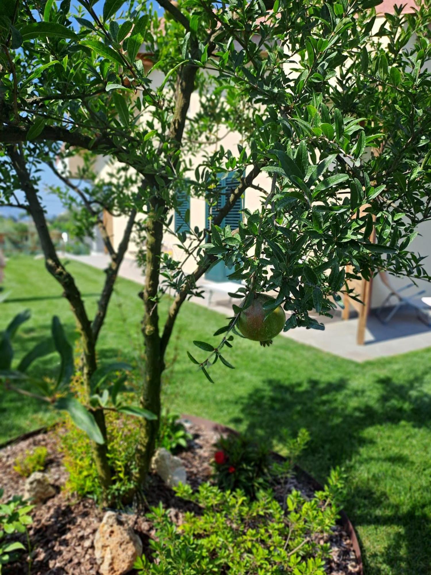 Bed&Breakfast La Campagna di Peppe e Tullia Formia Esterno foto