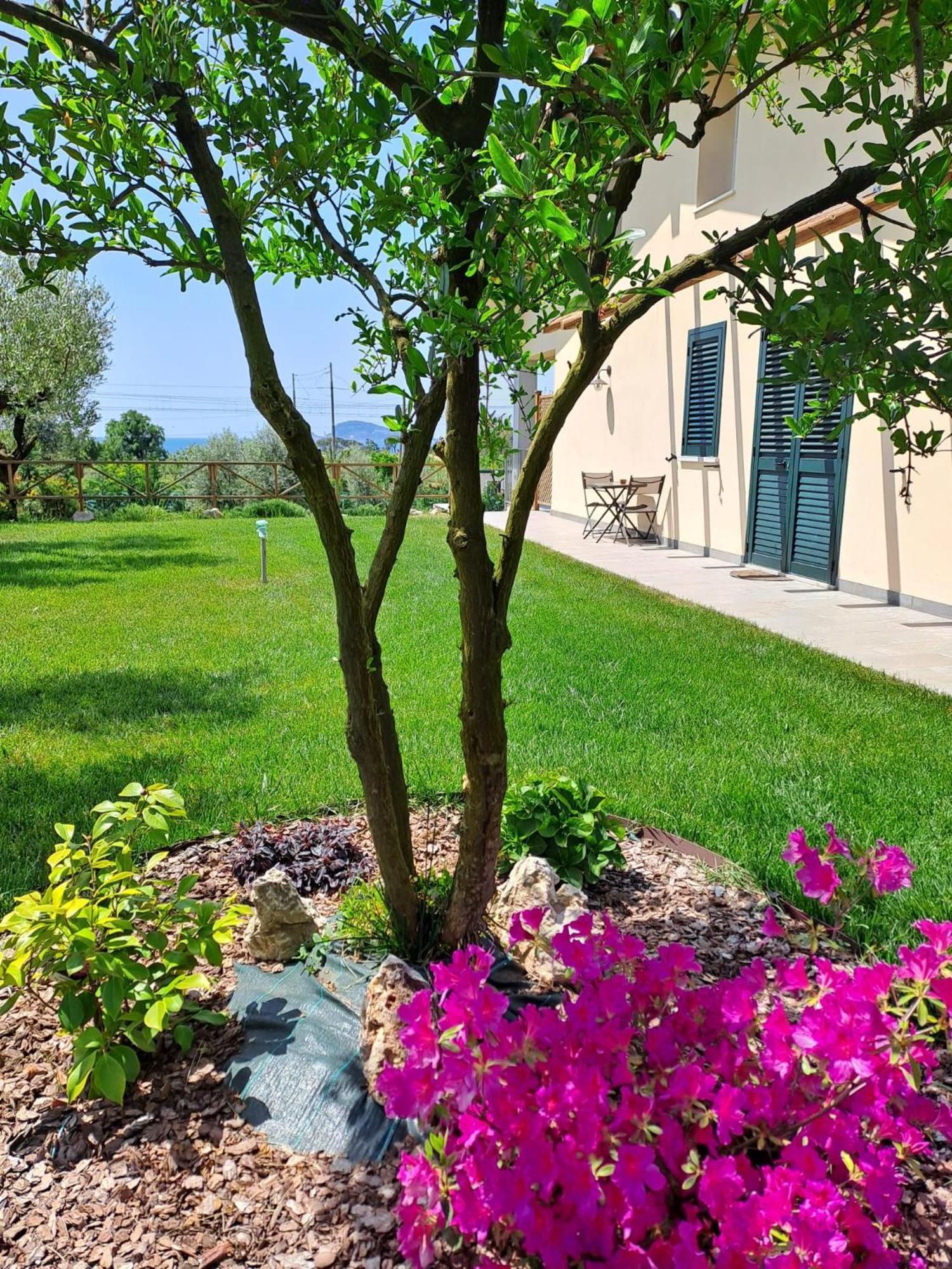 Bed&Breakfast La Campagna di Peppe e Tullia Formia Esterno foto